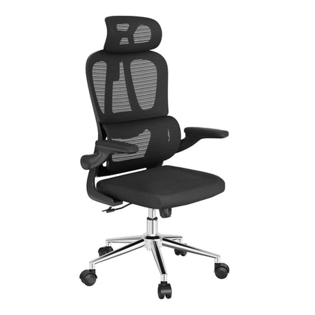 LinkQnet Flexispot OC19 Ergonomic Office Chair