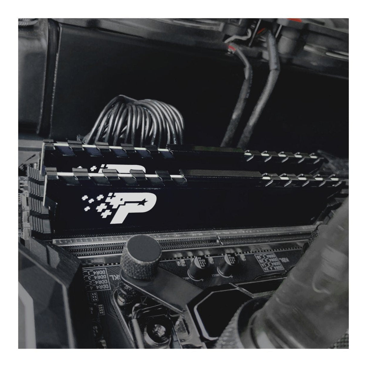 Patriot Signature Premium Line PSP416G3200H1 UDIMM Memory Module 16GB DDR4 3200MHz