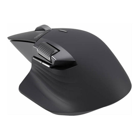 Rapoo M760L Large Multi-Mode Wireless Ergonomic Mouse Black