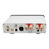 FSA 50W Class-D Stereo Digital Power Amplifier RUBY
