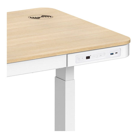 Lumi S08-22D-SWW Single Motor Sit-Stand Desk