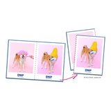 DNP RX1HS 10x15cm Media Set SET373