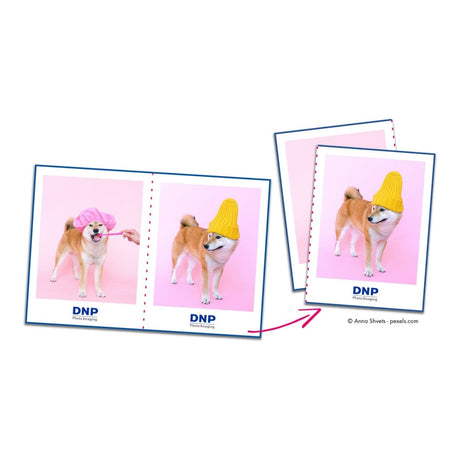 DNP RX1HS 10x15cm Media Set SET373