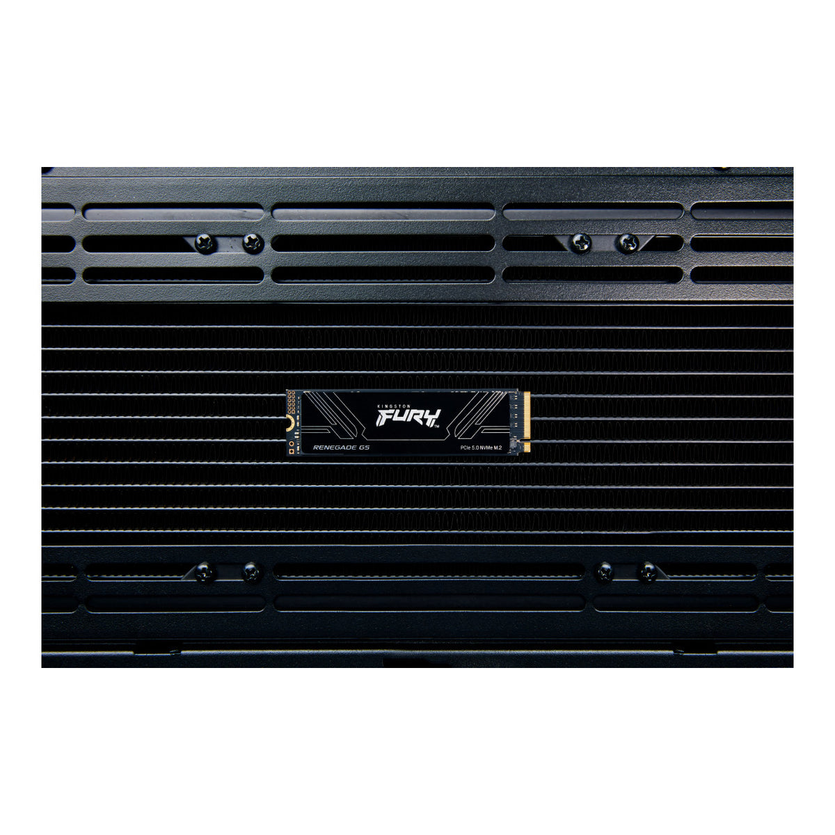 Kingston FURY Renegade G5 4TB PCIe 5.0 NVMe M.2 Internal SSD SFYR2S/4T0