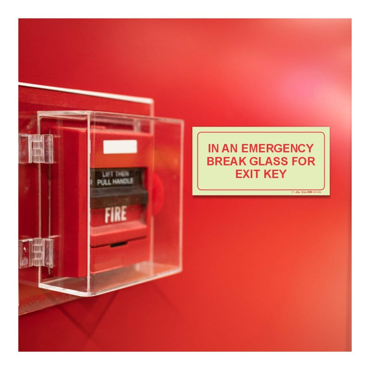 Parrot Photoluminescent 190mm In An Emergency Break Glass For Exit Key Safety Sign F43 SNP19F43