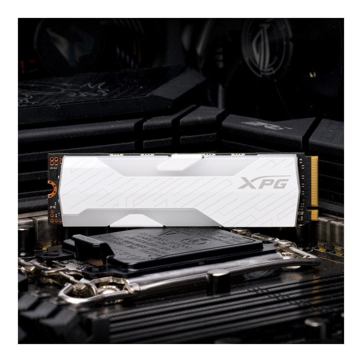 ADATA SPECTRIX S65G M.2 2TB PCIe 4.0 NVMe Internal SSD SSPECTRIXS65G-2000G-CI