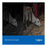 TP-Link Tapo C320WS Outdoor Security Wi-Fi Camera