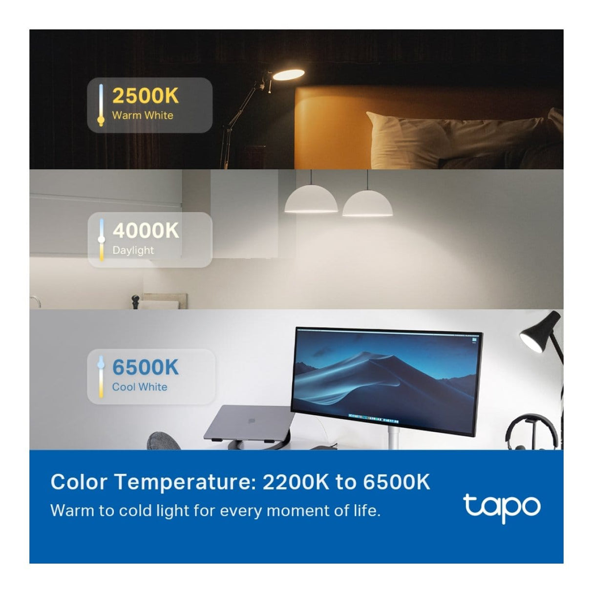 TP-Link Tapo L535E Smart Wi-Fi Light Bulb