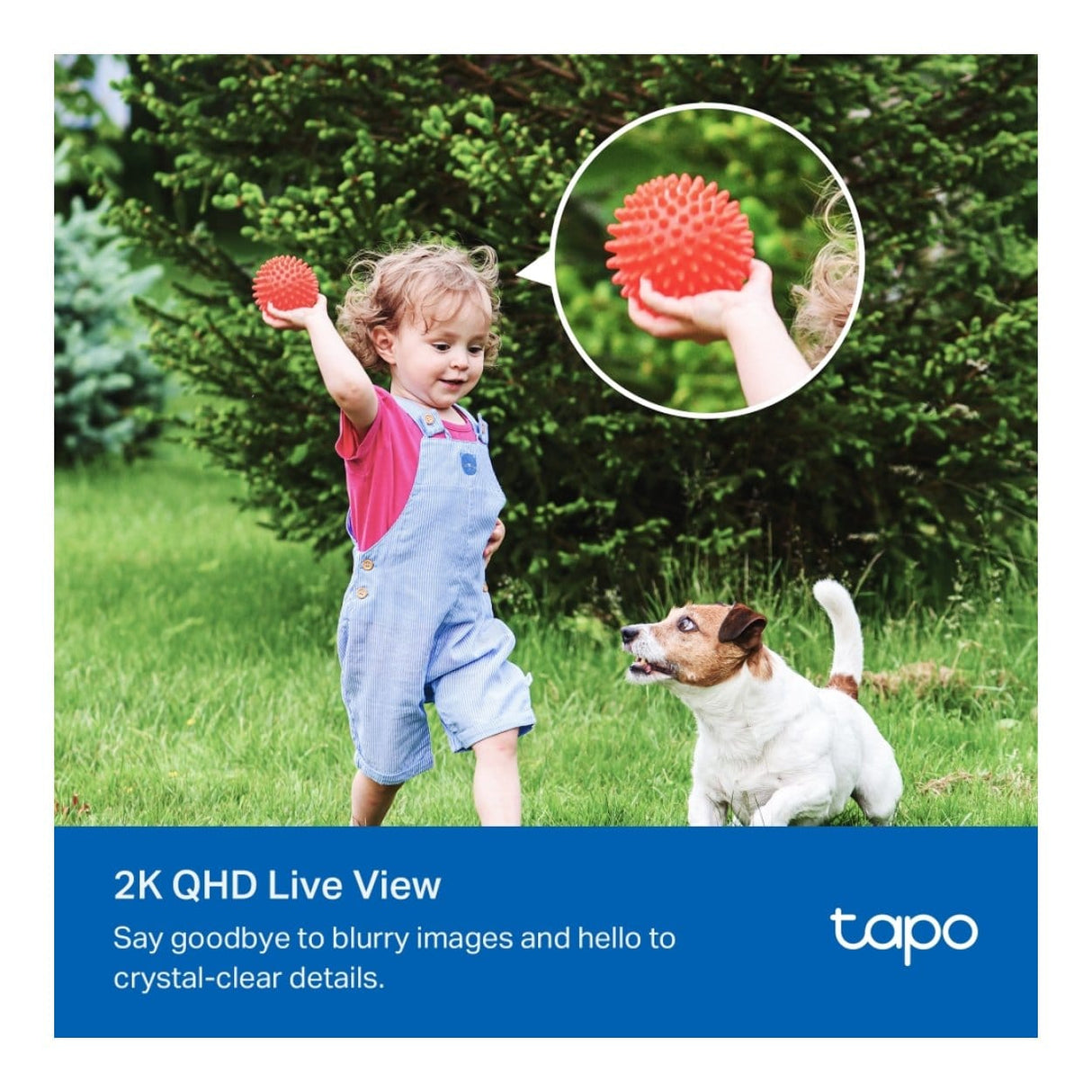 TP-Link TC85 Solar-Powered Security Camera Kit