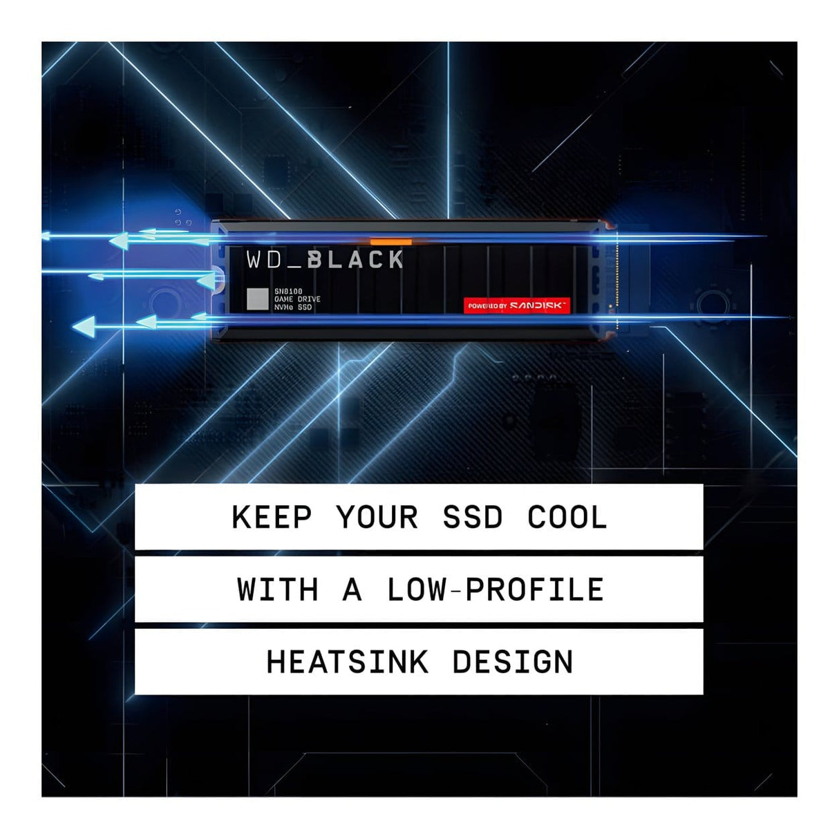 WD Black SN8100 2TB M.2 PCIe 5.0 NVMe 3D TLC NAND Internal SSD WDS200T1XHM