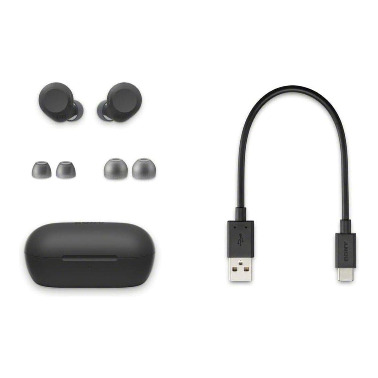 Sony True Wireless Earbuds Black WF-C710N/BZ E