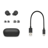 Sony True Wireless Earbuds Black WF-C710N/BZ E