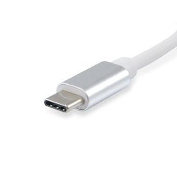 Equip USB Type C to DisplayPort Adapter 133458