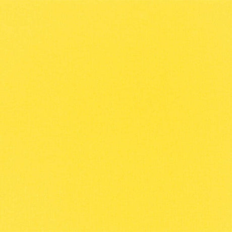 Cricut Cardstock Sampler 30x61cm 12-pack Primary 2004118