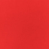 Cricut Cardstock Sampler 30x61cm 12-pack Primary 2004118