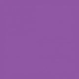 Cricut Premium Vinyl Removable 30x120cm Light Purple 2004308