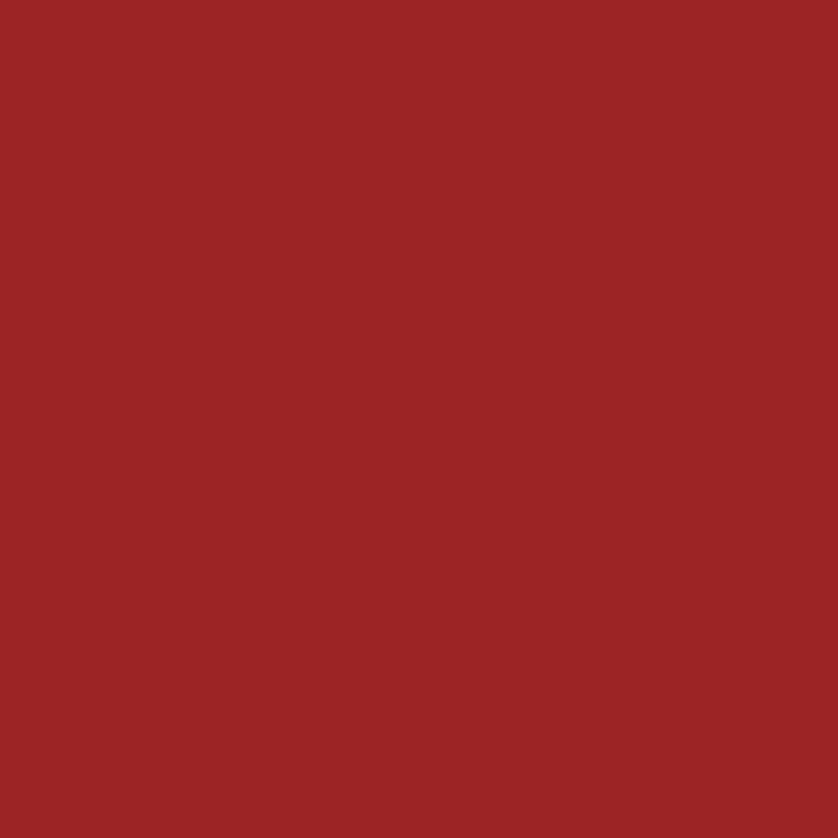 Cricut Premium Vinyl 30x122cm 1-sheet Cardinal Red Removable 2004311