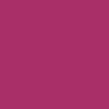Cricut Premium Vinyl Removable 30x122cm 1-sheet Lipstick 2005147