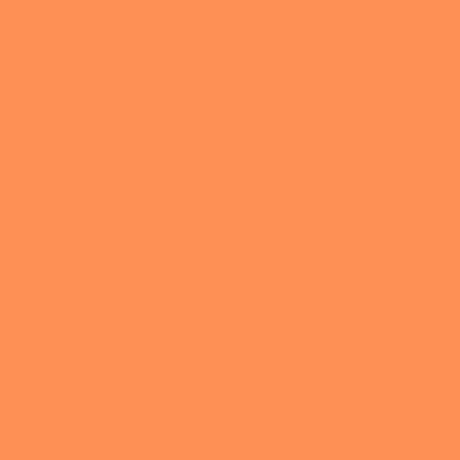 Cricut Premium Vinyl Removable 30x120cm 1-sheet Coral 2005148