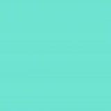 Cricut Smart Vinyl Removable 33x91cm 1-sheet Mint 2008642