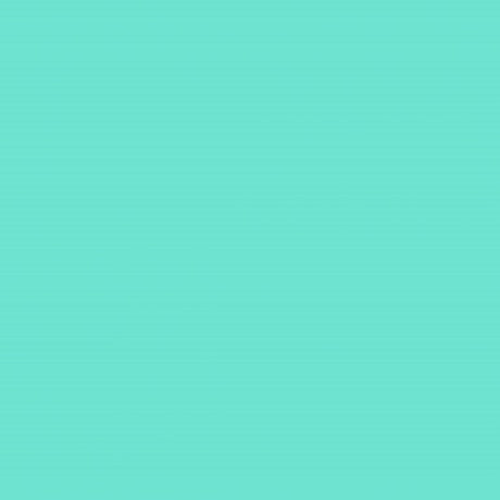 Cricut Smart Vinyl Removable 33x91cm 1-sheet Mint 2008642
