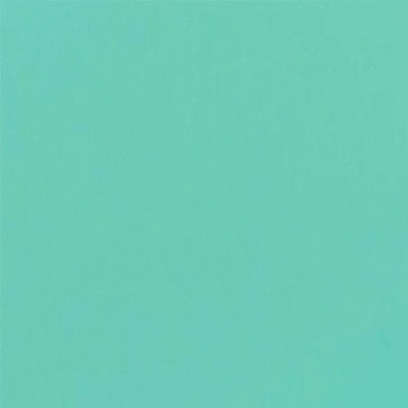 Cricut Joy Permanent Smart Vinyl 13.9x121.9cm 1-sheet Mint 2009840