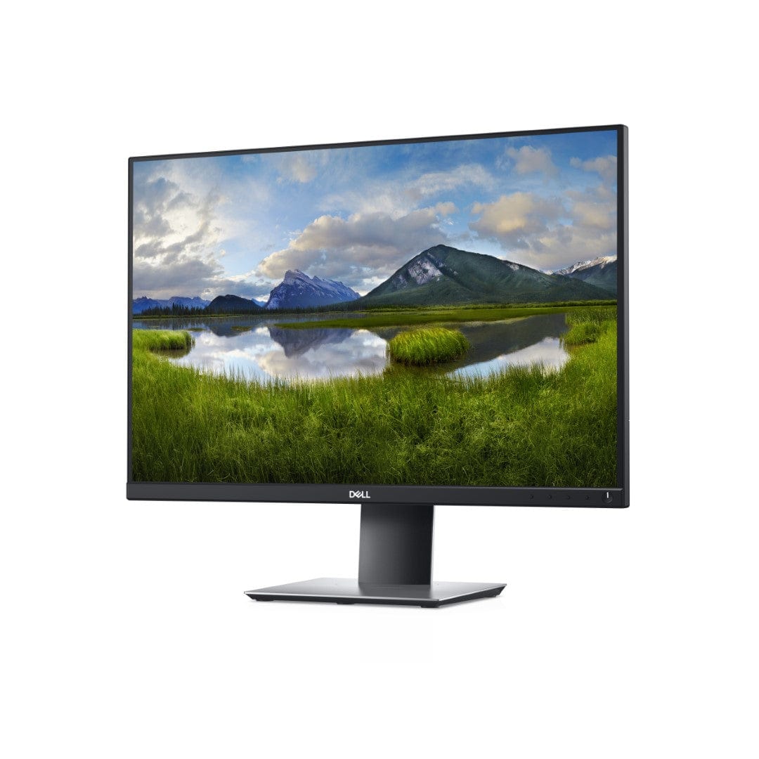Dell P2421 24.1-inch 1920 x 1200p WUXGA 16:10 60Hz 8ms IPS LCD Monitor 210-AWLE