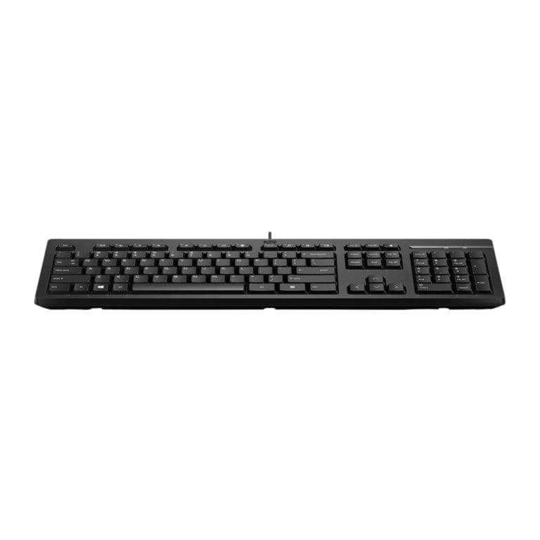 HP 125 Wired USB Keyboard 266C9A6