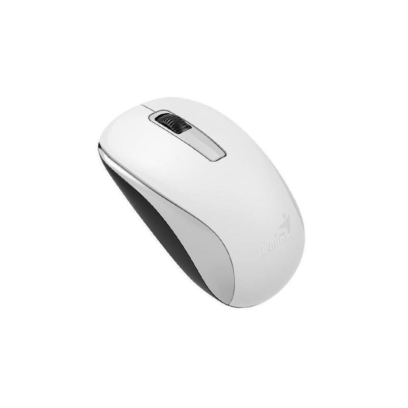 Genius NX-7005 mouse Ambidextrous RF Wireless BlueEye 1000 DPI