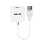 Lindy HDMI to DisplayPort Converter 38146