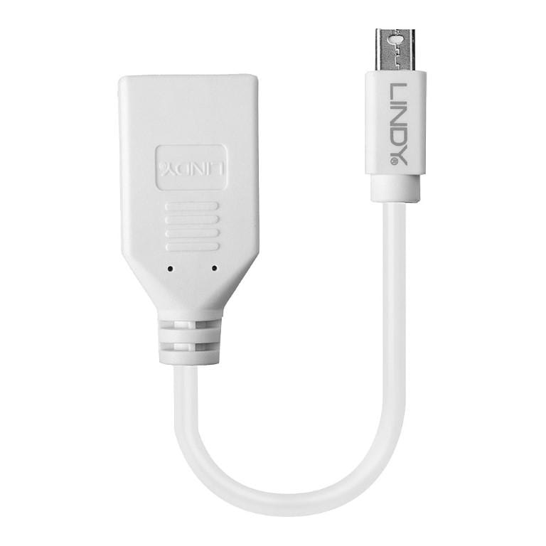 Lindy Mini-DP Male to DisplayPort Female Premium Adapter Shielded Cable 41021