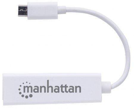 Manhattan Type C to Gigabit Network Adapter 507585
