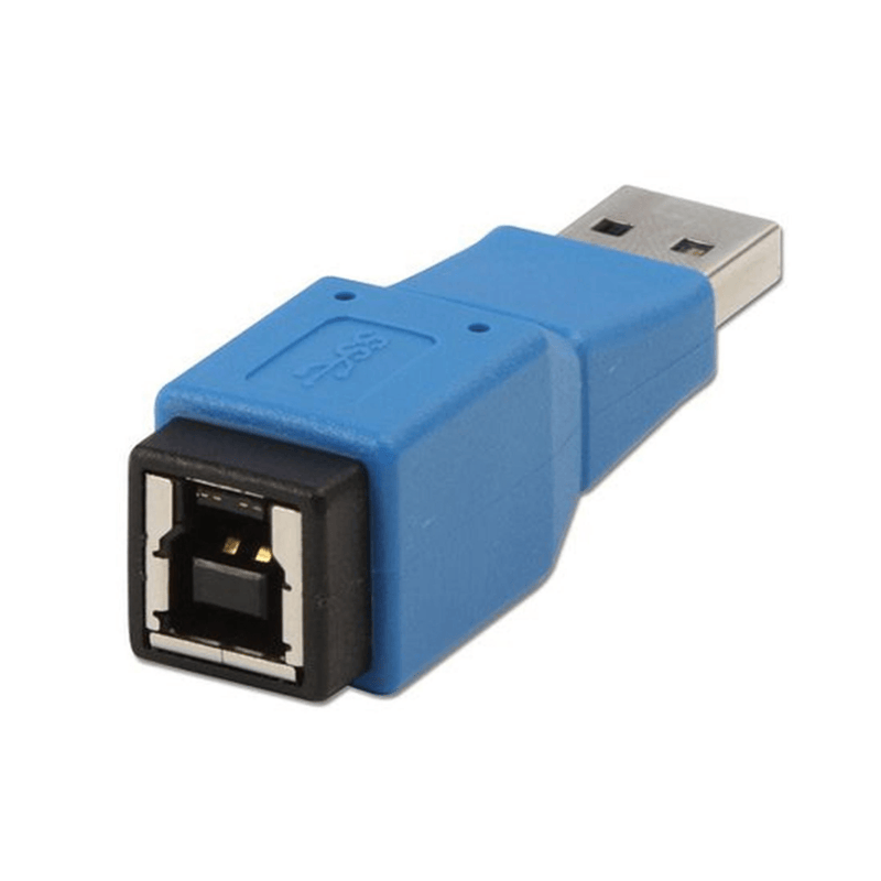 Lindy USB 3.0 A USB 3.0 B Cable Gender Changer Blue 71250