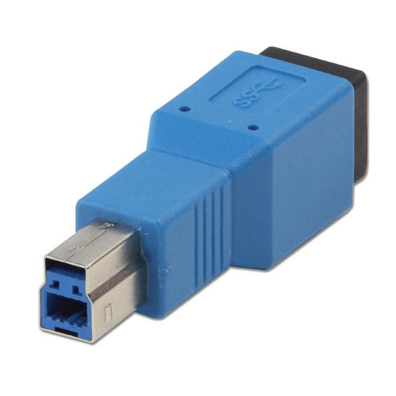 Lindy USB 3.0 B-M to B-F Adapter Cable Gender Changer B Blue 71253