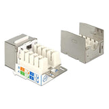Delock Keystone Module RJ45 Secure CAT6 to LSA 86404
