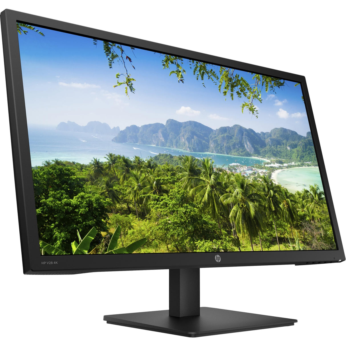 HP V28 28-inch 3840 x 2160p 4K Ultra 16:9 1ms HD LED Monitor 8WH58AA