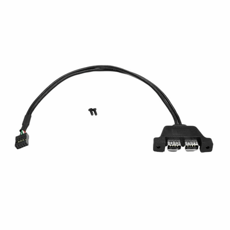 ASRock DeskMini 2 x USB 2.0 Interface Adapter Cable 90-BXG2T0-A0XCR2W