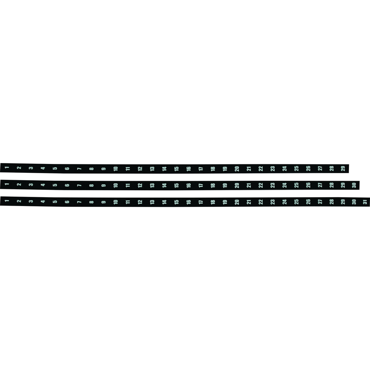 Parrot Year Planner Date Strips 1200mm AL3041