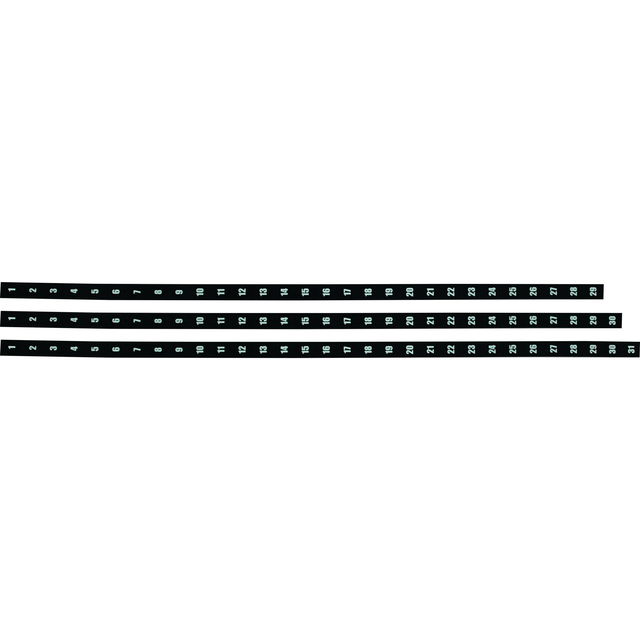 Parrot Year Planner Date Strips 1200mm AL3041