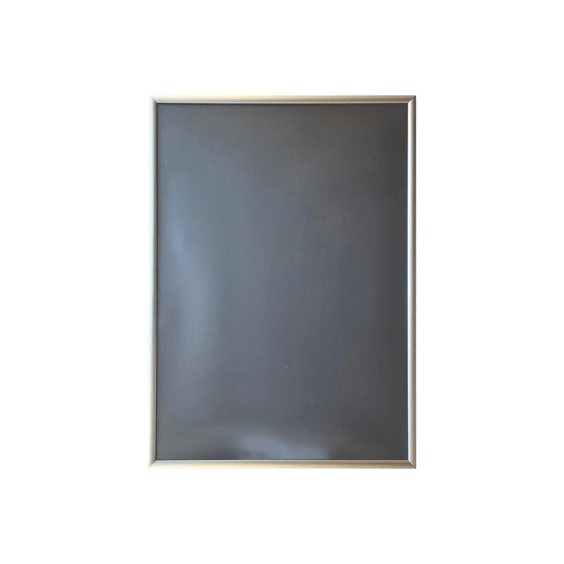 Parrot Poster Frame (A0 - 1230*870mm - Single Mitred - Econo)