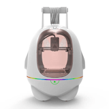 Easythreed Model K5 3D Printer