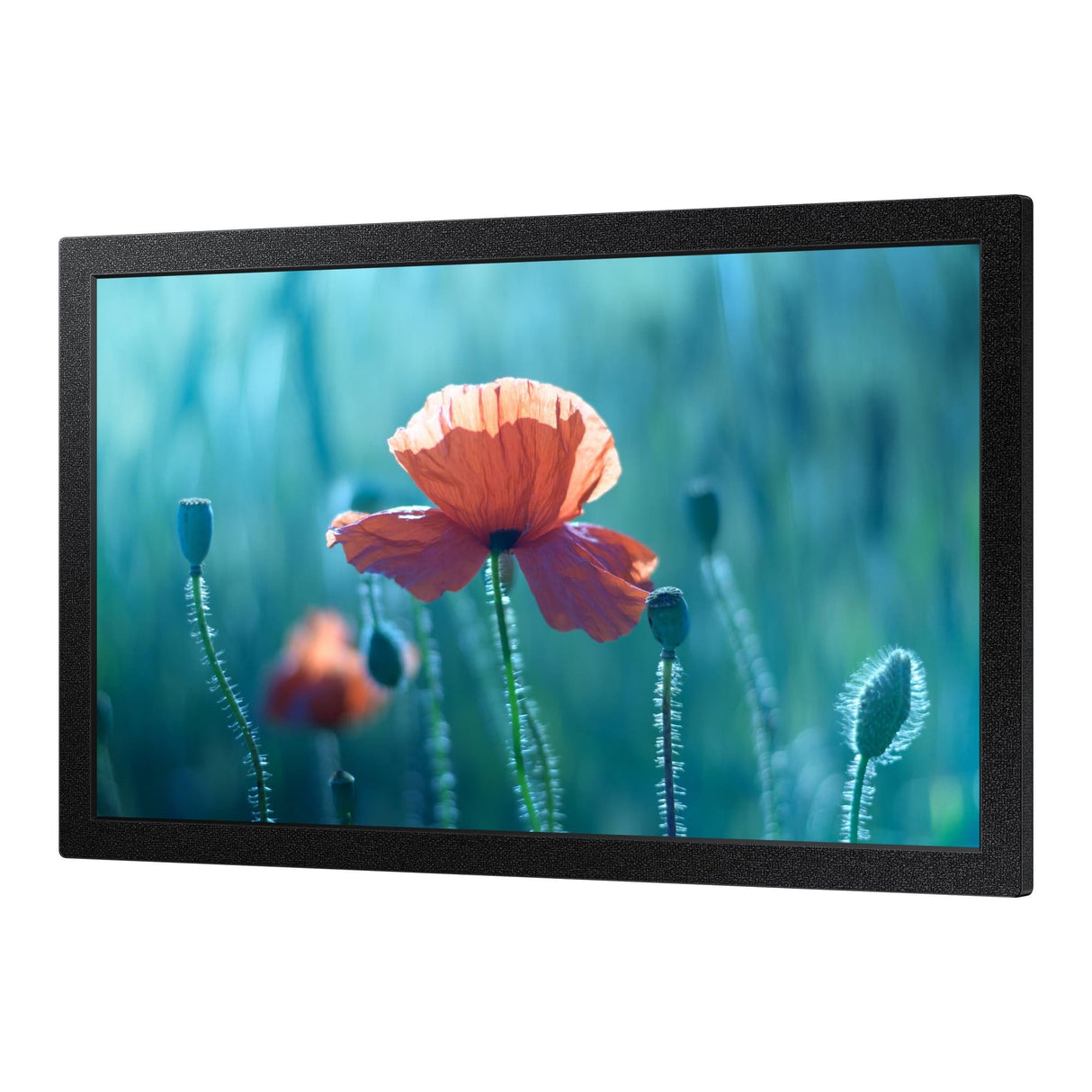 Samsung QB13R 13-inch 1920 x 1080p FHD 16:9 8ms Digital Signage Flat Panel LH13QBREBGCXEN
