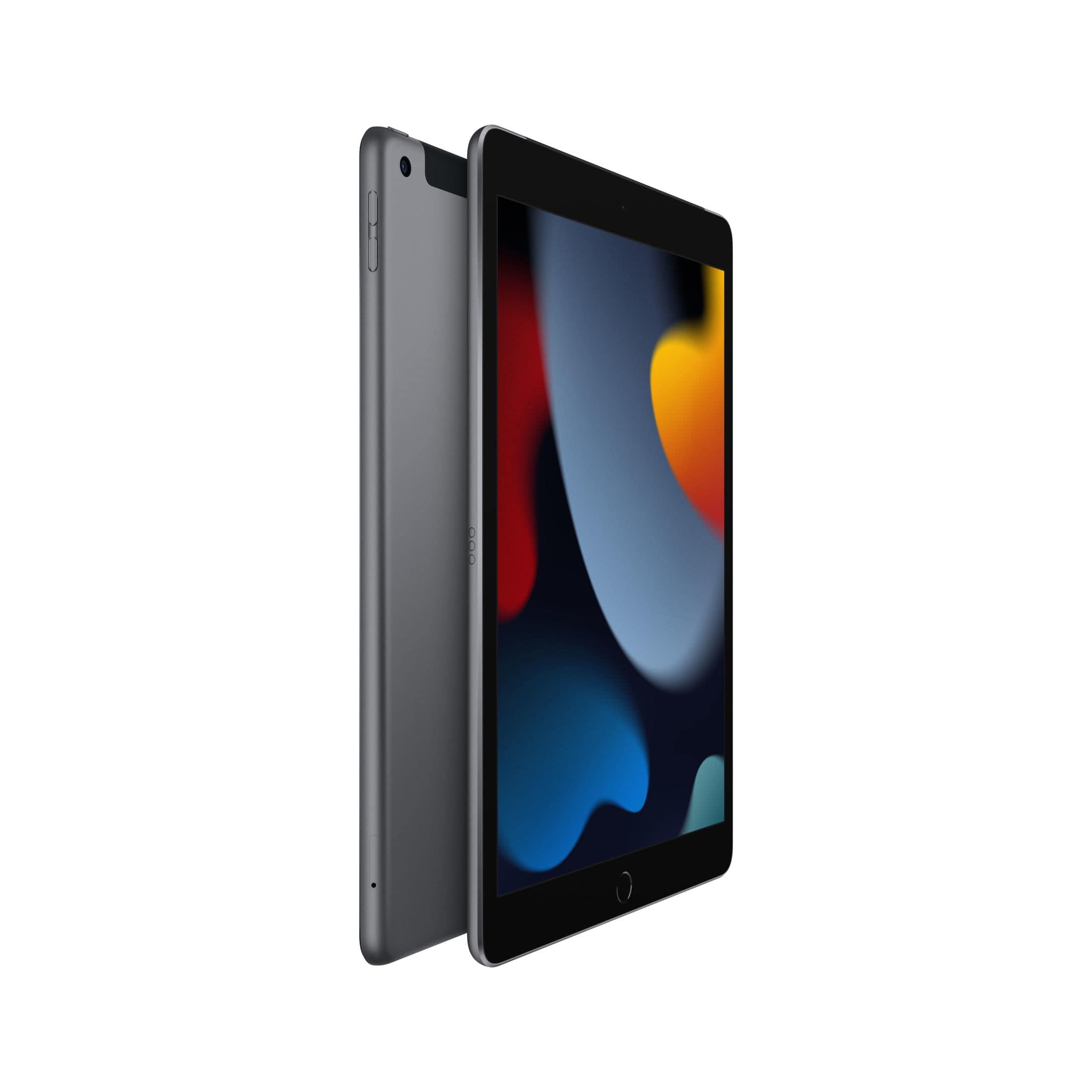 Apple iPad 10.2-inch Tablet - Apple A13 256GB ROM LTE iPadOS 15