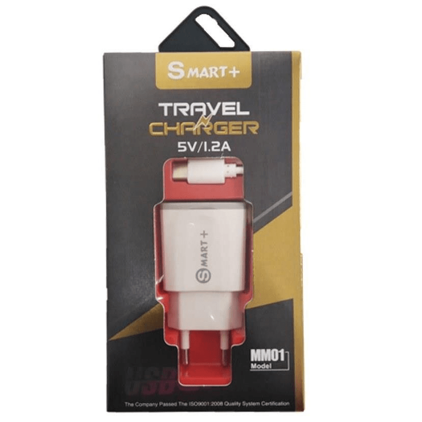 Geeko Travel Charger with Type-C Cable Silver MM01-TYPEC-WHITE/SILVER