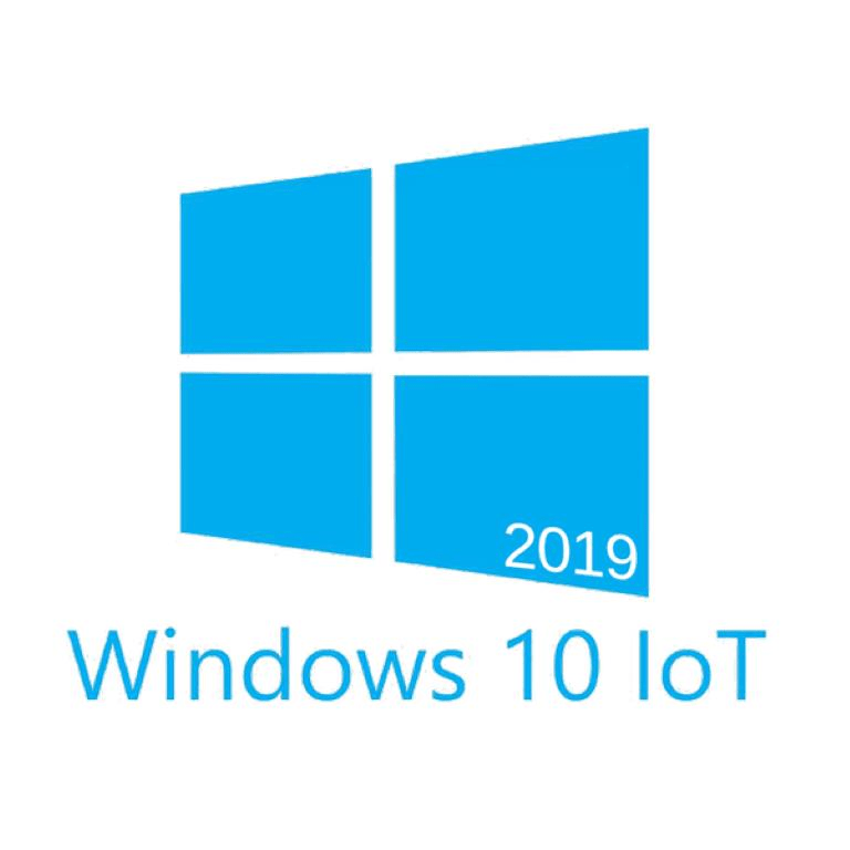 Microsoft Embedded Windows 10 IoT Enterprise LTSC 2019 MUV-00004P1
