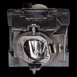 Viewsonic RLC-108 Projector Replacement Lamp