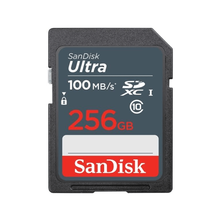 SanDisk SDXC Ultra 256GB Memory Card SDSDUNR-256G-GN3IN – FirstShop