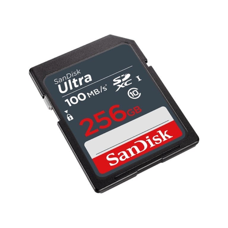SanDisk SDXC Ultra 256GB Memory Card SDSDUNR-256G-GN3IN – FirstShop