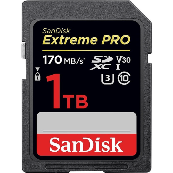 sdsdxxy-1t00-gn4in-blank-media
