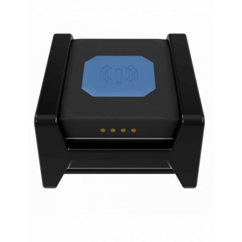Teltonika TMT250 Personal Tracker